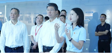 工業(yè)和信息化部總工程師趙志國一行調(diào)研雙鹿電池5G智慧工廠